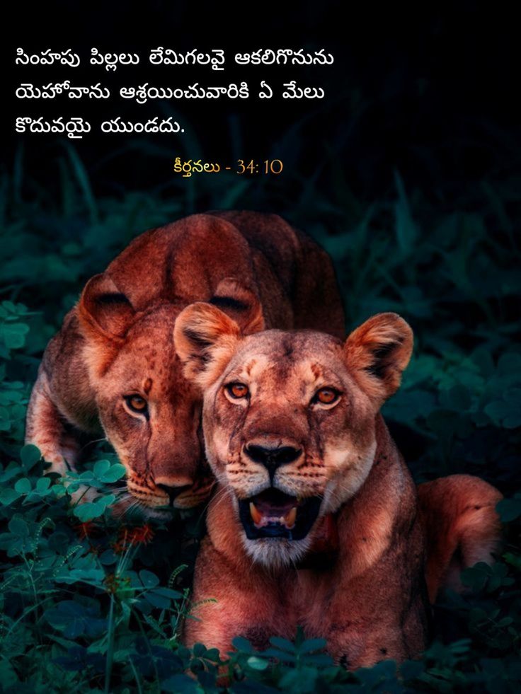 psalm bible quotes in telugu