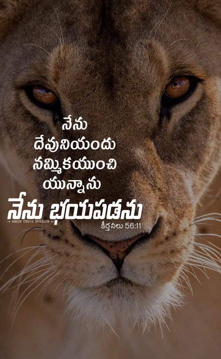 telugu bible quotes for whatsapp